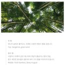 더런드리광양점 | 취프로젝트 디퓨저 '한국의 향 시향지' 후기