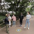 해방 이미지