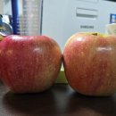 김수복농장 이미지