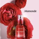 (주)레드에너지 이미지