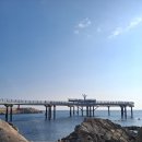 대진항 대게공원 이미지