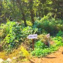 가산수피아 이미지