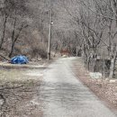 숲속의펜션 이미지