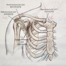 뽑기의 달인 이미지