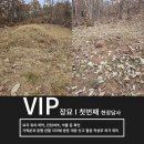 진주장례장묘