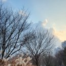 부평공원1 이미지