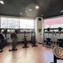 바디와이짐 이미지