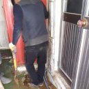 자원 오리성 이미지