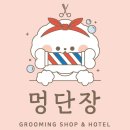 멍단장 네이버블로그