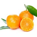 원진슈퍼 이미지