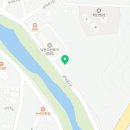 이미견 밥엔 낙지볶음 이미지