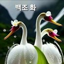 아름다운소통