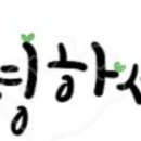 솔그루