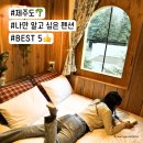 C-2 | 제주도 동쪽 조천읍 감성숙소 | 지브리감성이 가득한 동화속 산장 "글로리야"A,C-2층 후기