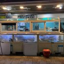 남부종합시장 | 양산횟집 남부시장 와와수산, 푸짐한 모둠회부터 매운탕까지 제대로 즐기고 온 후기