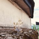 성일카세차장 이미지