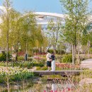 꽃길만걷자 이미지