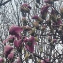 아람길공원 이미지