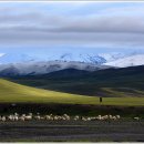 샹그리라 이미지