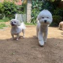 오킨더 이미지