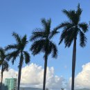 잠잠비치 | [내돈내산] 다낭 미케비치 살말리아 부티크 호텔 4성급 수영장 후기