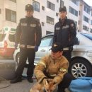 가흥동영주소방서 이미지