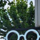 실로암안경 이미지