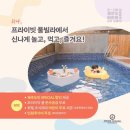 진로빌라 | 제주 도민 할인으로 다녀온 애월 다인 오세아노 호텔 풀빌라 찐 후기