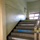 과천여자고등학교 이미지