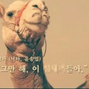 메롱