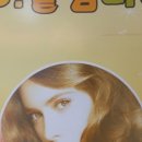 e붙임머리