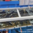 진복수산 이미지