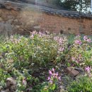 둥지식당 이미지