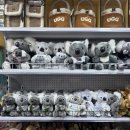 신호등약국 | 시드니 패디스마켓 기념품 시간 위치 신호등 키링 옷 마그넷