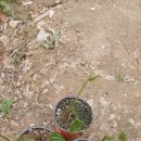 김재호 농장 이미지