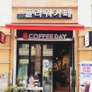 띠아모플라워&커피데이