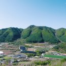 봉화강아지마을 이미지