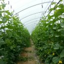 용범농장 이미지