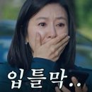 양산꽃집 [앨리스의 뜰] 미니화분부터 꽃다발, 대형화분까지 다양한 종류의 건강한 식물들 판매하는...