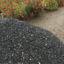 월금농장 이미지