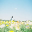 [가요] 울면서 후회하네 - 주현미, 마리아 이미지