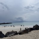 도틀왓 제주 이미지