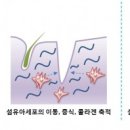 센스화장품 이미지