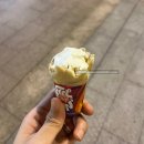 중국상하이 맛집 리스트 3일차 후기_ 먹기만 했는데 하루가 끝나버렸다 (feat. 미쉐린 쥐 가이드)