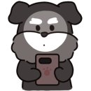 큐브애견미용학원 이미지