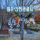 간현관광지 | 원주 당일치기 단풍여행 간현관광지 출렁다리 월요일은 피하세요