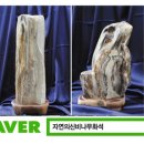 (주)자연의 신비