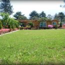 안성중학교 이미지