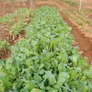 잠시 쉬어 이미지