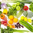 엘리트복싱다이어트 이미지